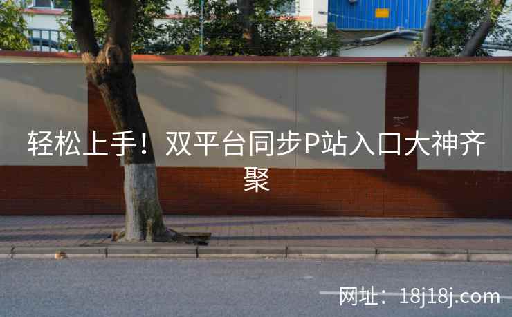 轻松上手！双平台同步P站入口大神齐聚