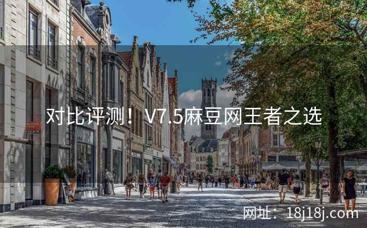 对比评测！V7.5麻豆网王者之选