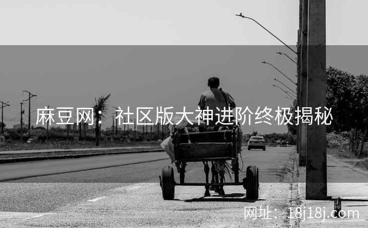 麻豆网：社区版大神进阶终极揭秘