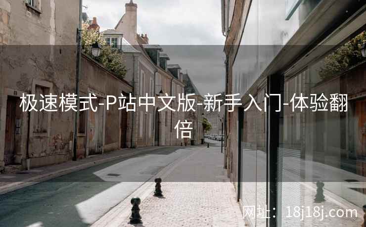 极速模式-P站中文版-新手入门-体验翻倍