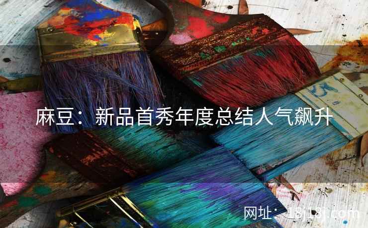 麻豆：新品首秀年度总结人气飙升