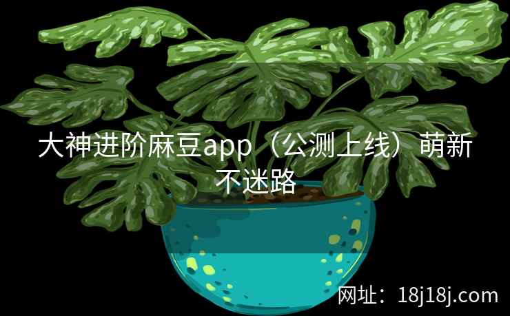 大神进阶麻豆app（公测上线）萌新不迷路