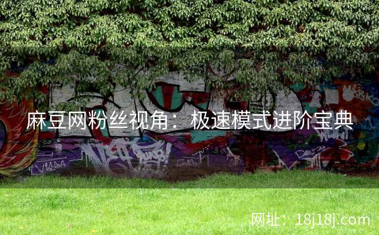 麻豆网粉丝视角：极速模式进阶宝典