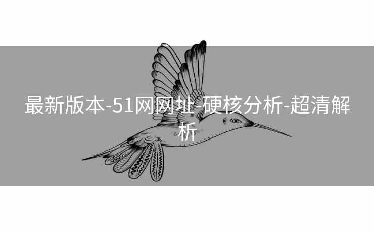 最新版本-51网网址-硬核分析-超清解析