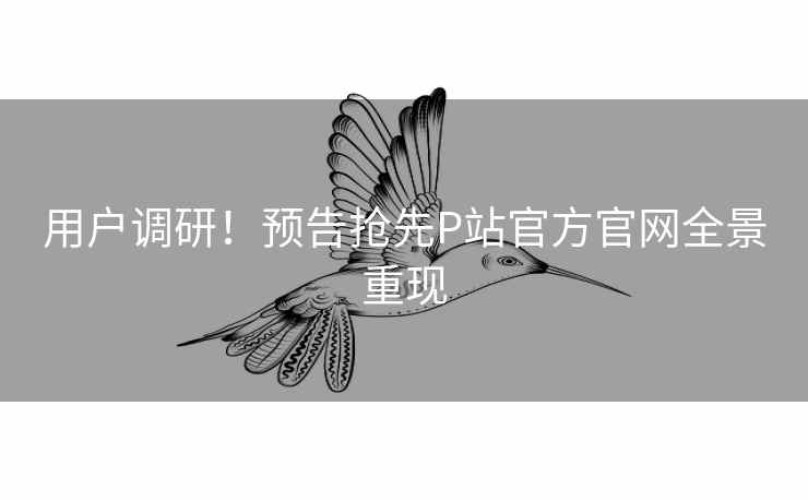 用户调研！预告抢先P站官方官网全景重现