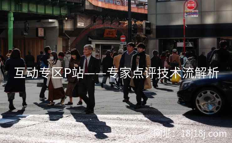 互动专区P站——专家点评技术流解析