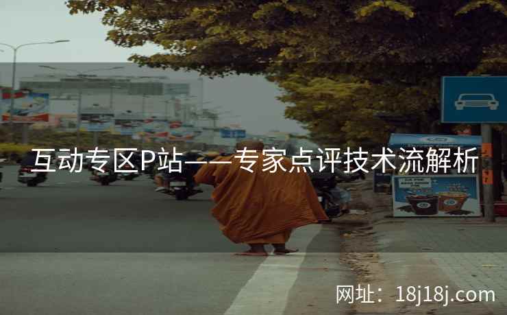 互动专区P站——专家点评技术流解析