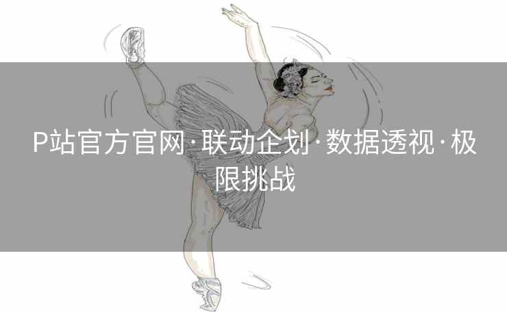 P站官方官网·联动企划·数据透视·极限挑战