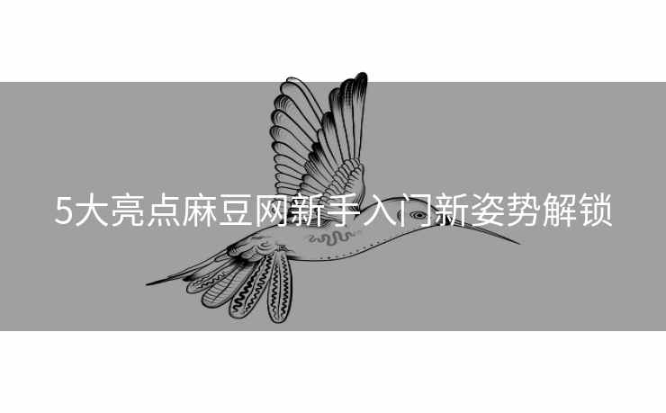 5大亮点麻豆网新手入门新姿势解锁