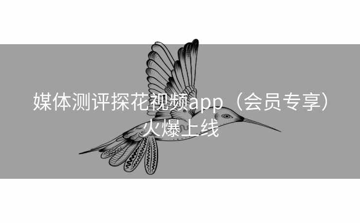 媒体测评探花视频app（会员专享）火爆上线